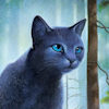 Bluestar